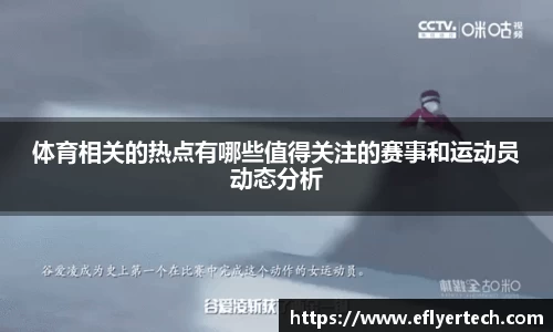 体育相关的热点有哪些值得关注的赛事和运动员动态分析